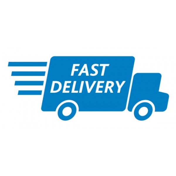 cargo cost fast delivery